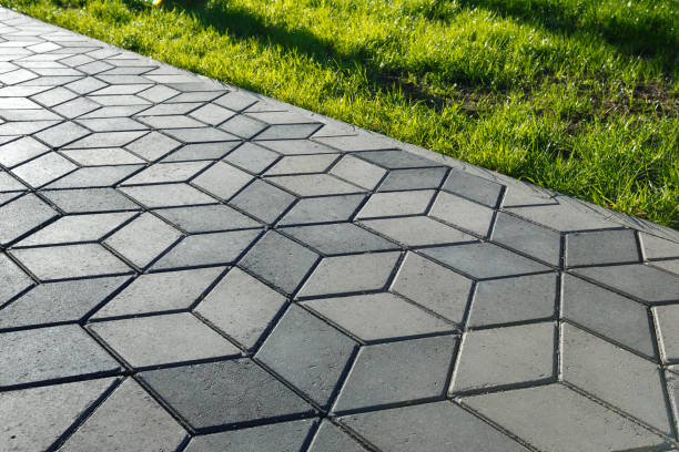 Best Custom Driveway Pavers  in Jamestown, ND