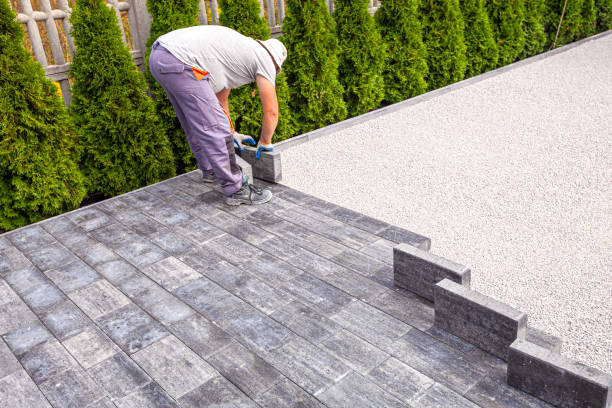Best Local Driveway Pavers  in Jamestown, ND
