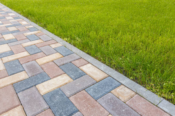 Best Driveway Pavers for Homes  in Jamestown, ND